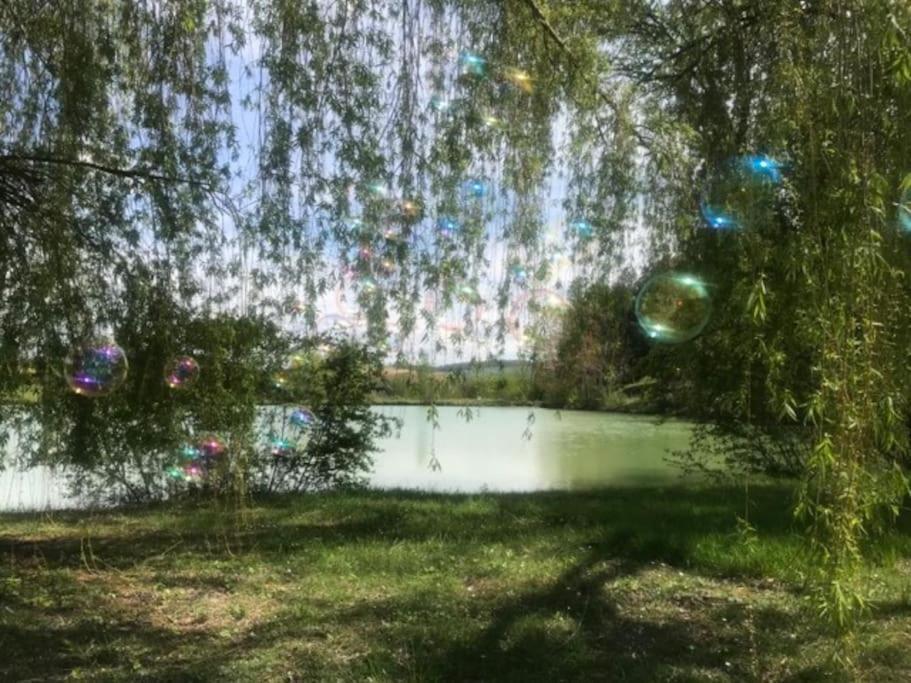 Chalet Au Milieu De La Foret Avec Lac A Proximite Layrac Bagian luar foto